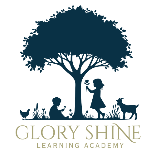 Glory Shine Learning Academy